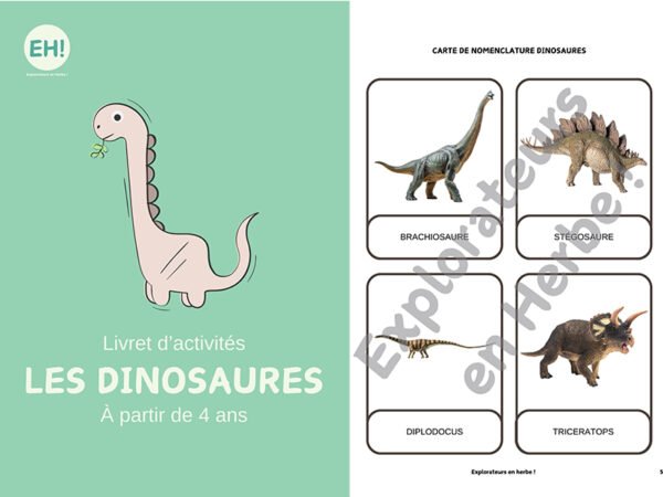 Explorateurs en Herbe - Livret d'activités pour enfants - Dinosaures