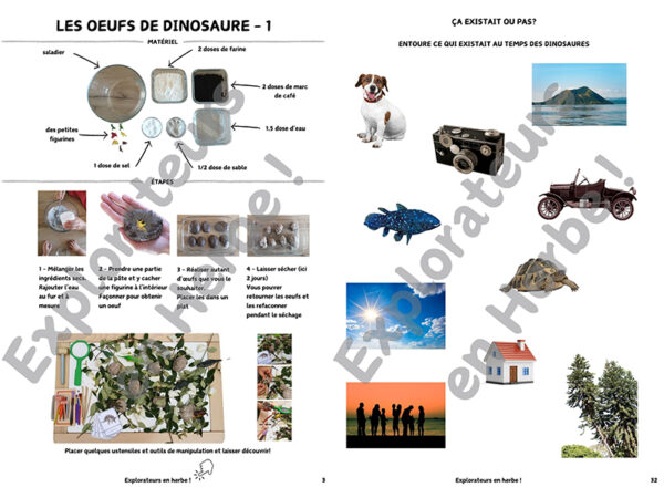 Explorateurs en Herbe - Livret d'activités dinosaures